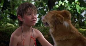 喜剧电影《灵犬宾果》解说文案/片源下载