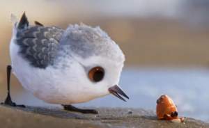 励志动画电影《鹬》解说文案/片源下载