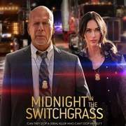 犯罪电影《午夜柳枝》解说文案/片源下载