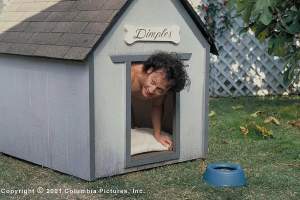 喜剧电影《人面兽心》解说文案/片源下载