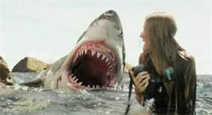 美国惊悚片《鲨滩》解说文案/片源下载