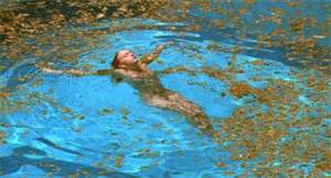 高分悬疑片《泳池情杀案》解说文案及全剧下载