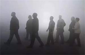 恐怖电影《迷雾》解说文案及全剧下载