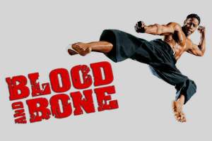 动作电影《血与骨》解说文案/片源下载