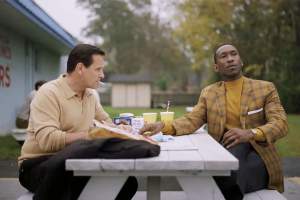 剧情电影《绿皮书》解说文案/片源下载