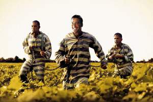 喜剧电影《逃狱三王》解说文案/片源下载