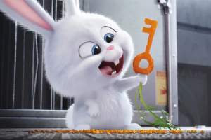 动漫电影《爱宠大机密》解说文案/片源下载