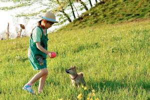 剧情电影《爱犬的奇迹》解说文案/片源下载