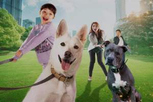 喜剧电影《我的流浪狗》解说文案/片源下载