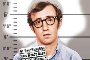 喜剧电影《傻瓜入狱记》解说文案/片源下载