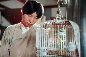 喜剧电影《少爷的磨难》解说文案/片源下载