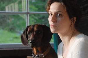 科幻电影《隐墙》解说文案/片源下载