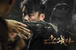 动作电影《一个人的武林》解说文案/片源下载