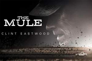 剧情电影《骡子》解说文案/片源下载