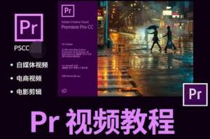 【视频课程】65节PR软件视频教程