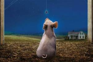 喜剧电影《夏洛特的网》解说文案/片源下载