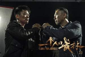 动作电影《一个人的武林》解说文案/片源下载