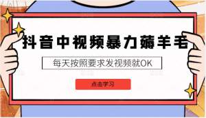 【中视频计划视频课程】2022中视频暴力薅羊毛白嫖蓝海项目，3天新号每天也有几十块收益，可批量