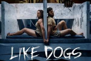 惊悚电影《人模狗样》解说文案/片源下载