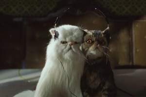 喜剧电影《猫狗大战》解说文案/片源下载