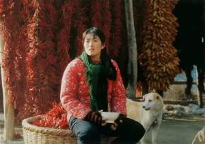 剧情电影《秋菊打官司》解说文案/片源下载