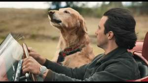 剧情电影《我在雨中等你》解说文案/片源下载