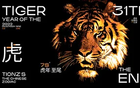 大斌平面设计实用综合班第1期(高清画质无素材)