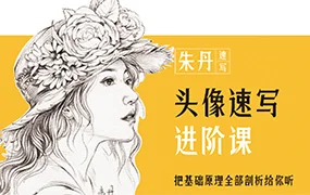 朱丹头像速写进阶课(高清画质无素材)