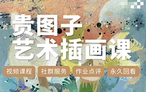 贵图子艺术插画课(高清画质无素材)