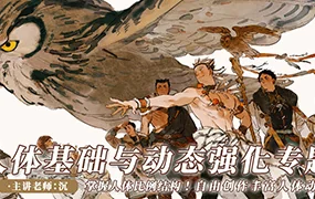 沉人体基础与动态强化专题(画质清晰无素材)