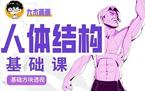 大木人体结构基础第11期(高清画质无素材)