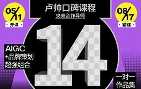 卢帅品牌设计高阶班第14期（高清画质带素材）