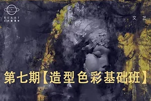 顾佳艺丨造型色彩基础班第七期(画质高清带素材)