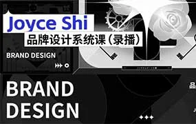 银河CG Joyce Shi品牌设计系统课（高清画质无素材）