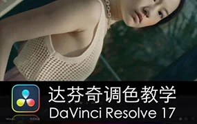 舞光弄影DaVinci Resolve17速成教学大师指南课(画质清晰无素材)