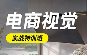 电商视觉商业实战班第50期升级版（高清画质带大部分素材）