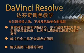 摄影师RYAN达芬奇短视频人像调色(高清画质带部分素材)