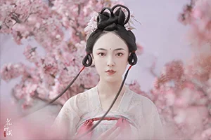 蝈蝈小姐国风高阶班2期(画质普通带素材)