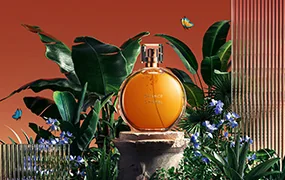 C4D OC渲染进阶课程第6期(高清画质带素材)
