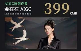 AI摄影高阶技法金在在AIGC （高清画质带素材）