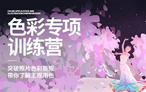 风绽色彩专项训练营第3期(画质高清有作业包)