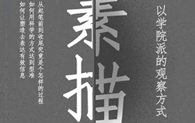大孟一场素描的观察方式人像篇(画质清晰无素材)