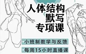 衍知行人体结构默写专项课（高清画质无素材）