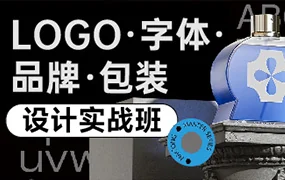 卢帅LOGO字体品牌包装设计实战班第5期(高清画质带素材)