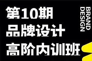 卢帅品牌设计高阶内训班第10期(高清画质带素材)