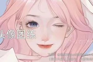 Luffypig漫改基础头像iPad插画团练第四期(画质清晰带笔刷)