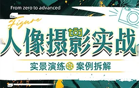 林海音的人像摄影实战课（高清画质无素材）