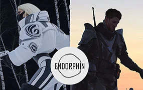 ENDORPHIN内啡肽概念艺术研修班第3期(画质清晰带素材)