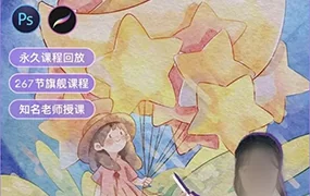 麦刻风iPad商业插画旗舰课(高清画质无素材)