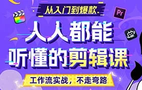 百万剪辑狮人人都能听懂的剪辑思维课（画质清晰带素材）